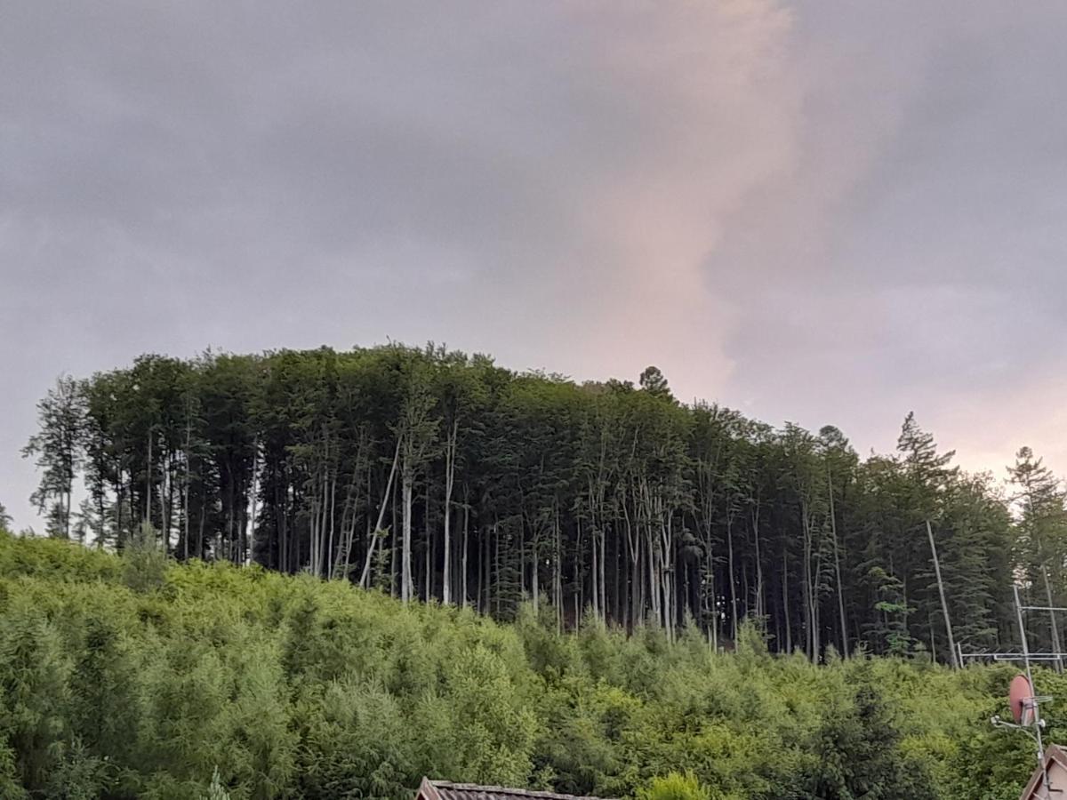 Pohoda Salas U Velehradu-2 Apartmany Uherské Hradiště Extérieur photo